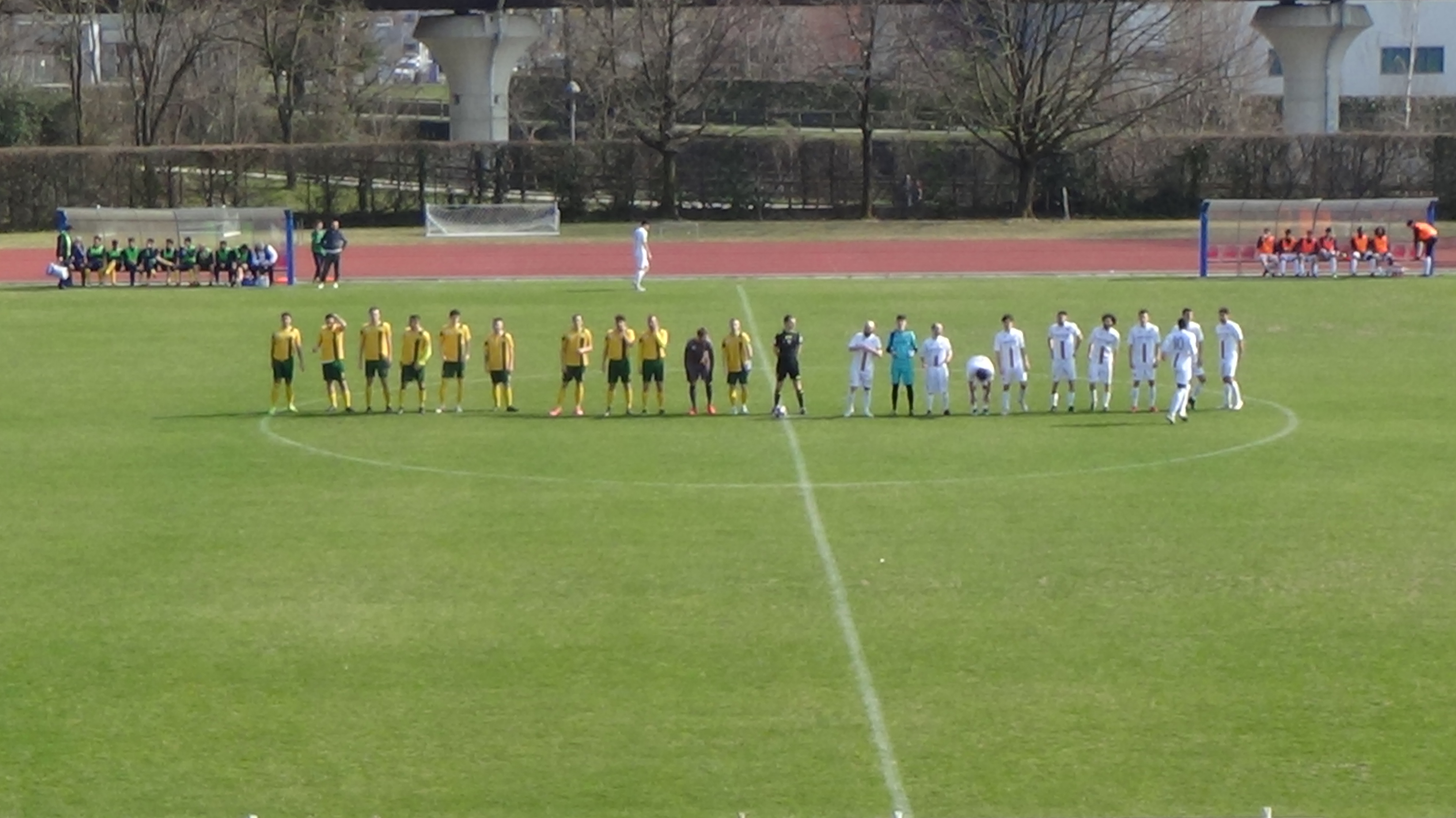 gavarnese vs colognese